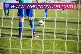 AC米兰在意甲赛季中意外失利于乌迪内斯